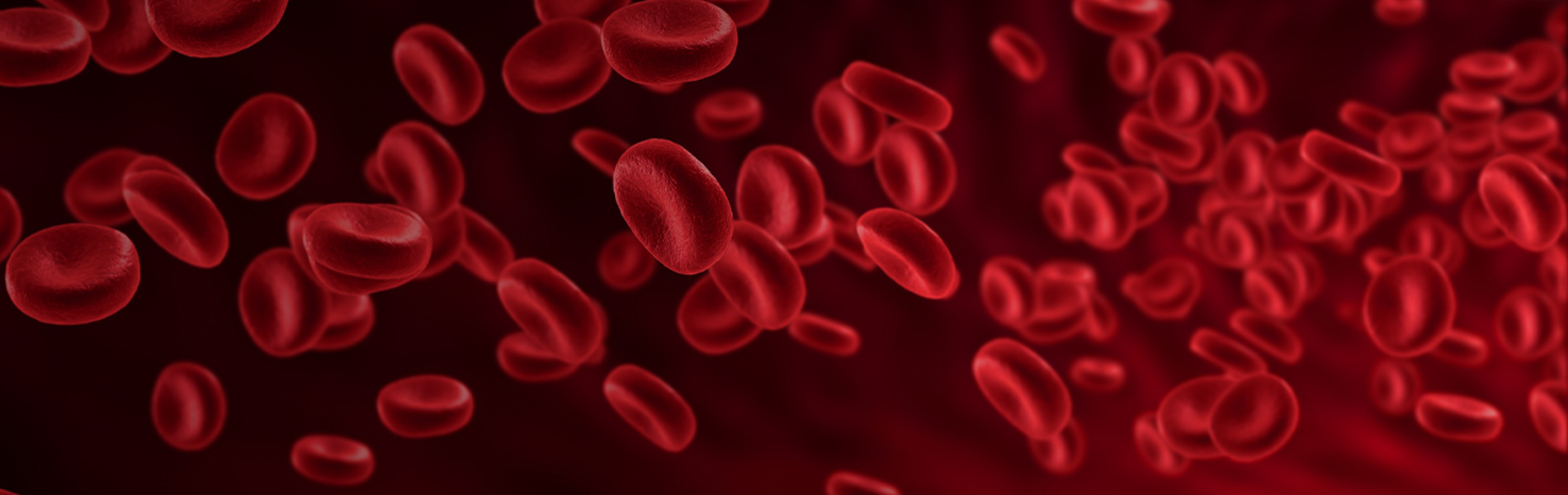 Banner image desktop